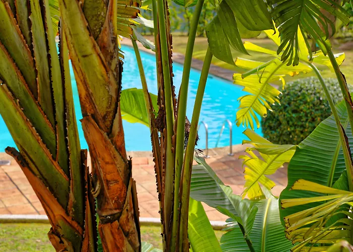Luxotel Cannes